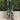 Mia Set – Elegant Two-Piece Set